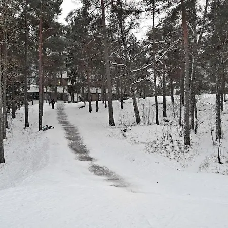 Little Mermaid, Pieni Merenneito 라우마